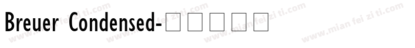 Breuer Condensed字体转换